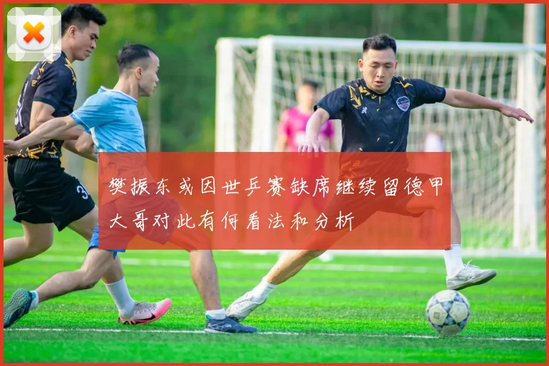 樊振东或因世乒赛缺席继续留德甲大哥对此有何看法和分析