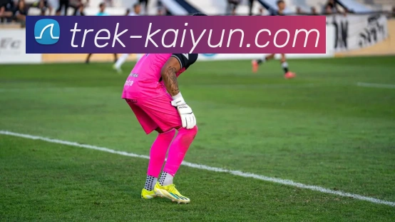 开云官网平台生态图