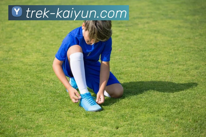 开云官网APP 封面图